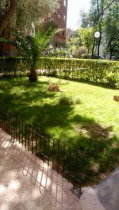cuidado de todo tipo de plantas, también instalamos césped de todas las clases